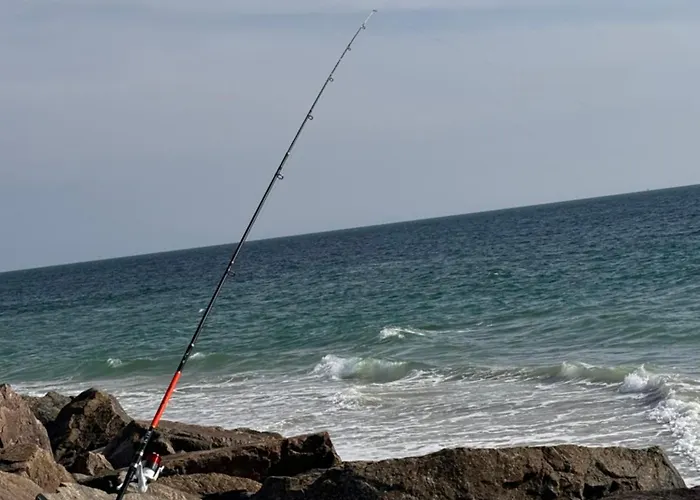 Summer House 빌라 생 힐레르 드 리에